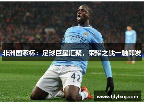 非洲国家杯：足球巨星汇聚，荣耀之战一触即发